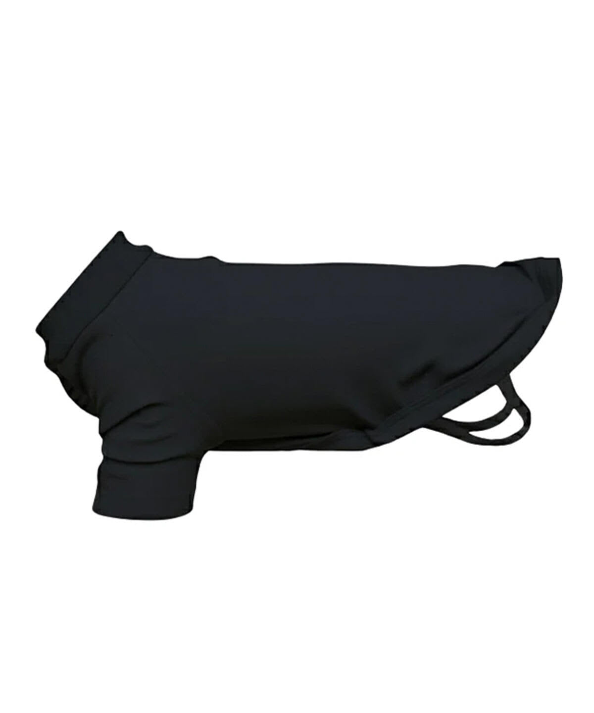 Dog's Raglan T-Shirt