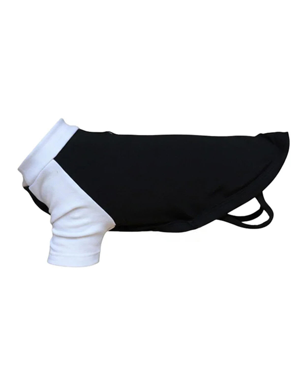 Dog's Raglan T-Shirt
