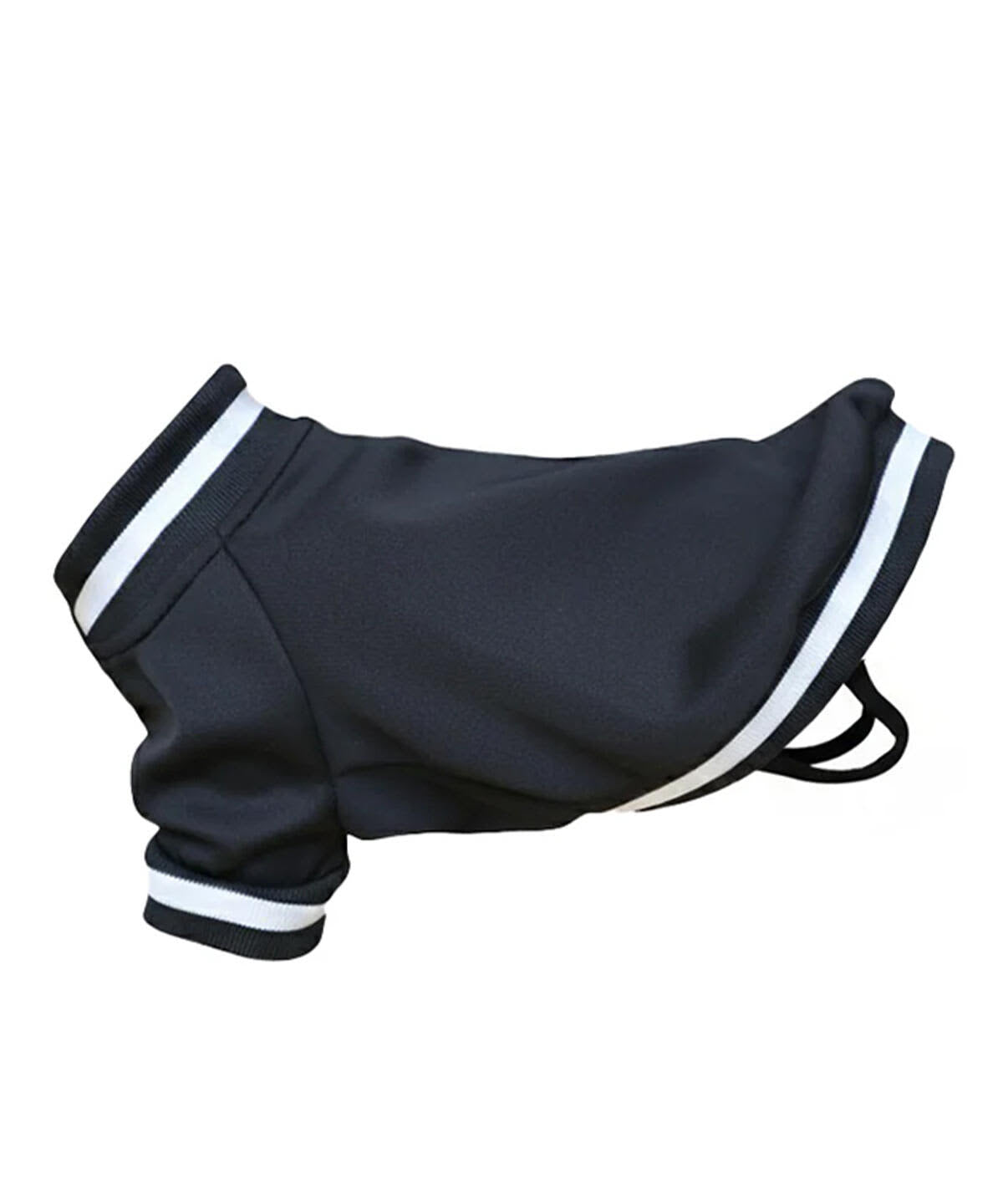 Dog's Varsity Jacket