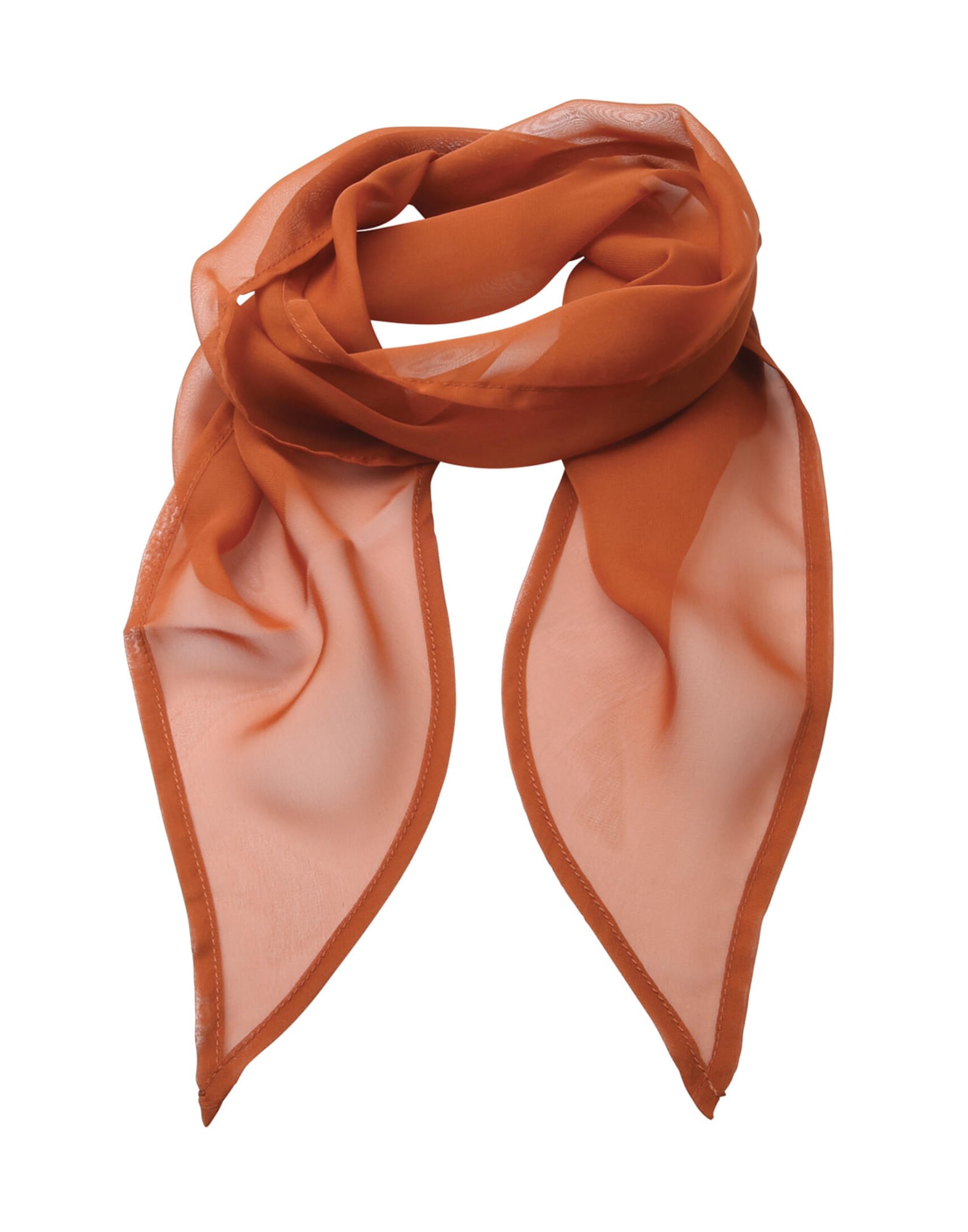 Colours Chiffon Scarf