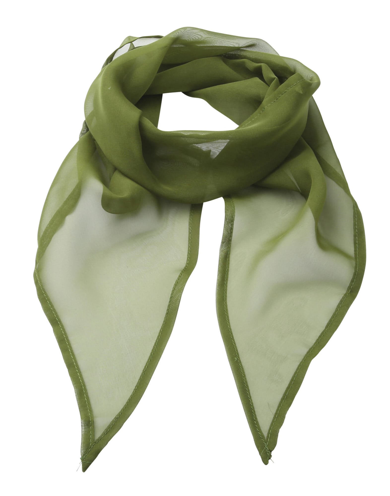 Colours Chiffon Scarf