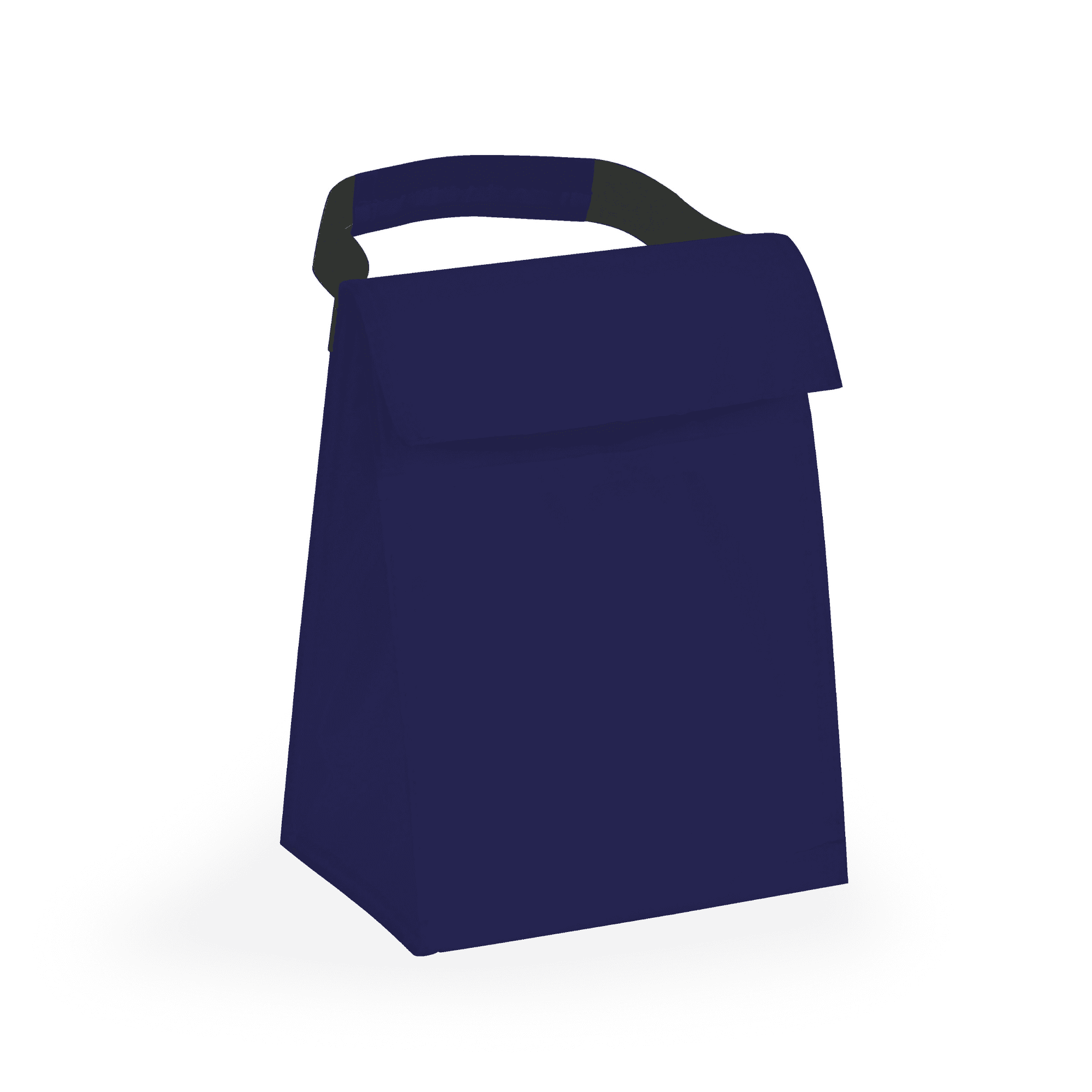 Budget Cooler Bag With Grip