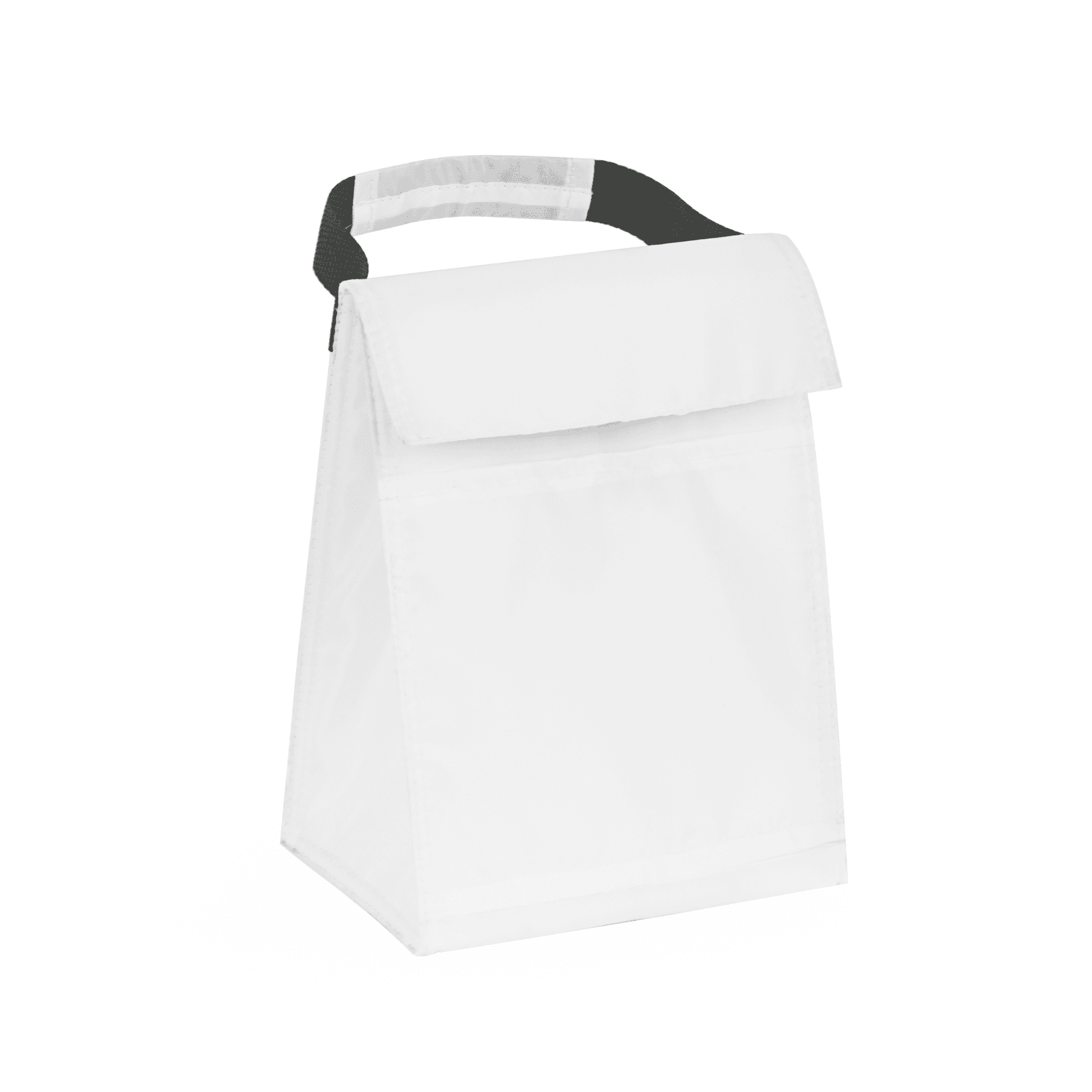 Budget Cooler Bag With Grip
