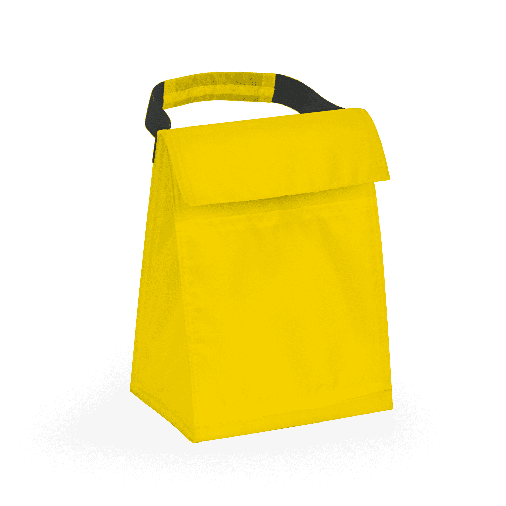 Budget Cooler Bag With Grip
