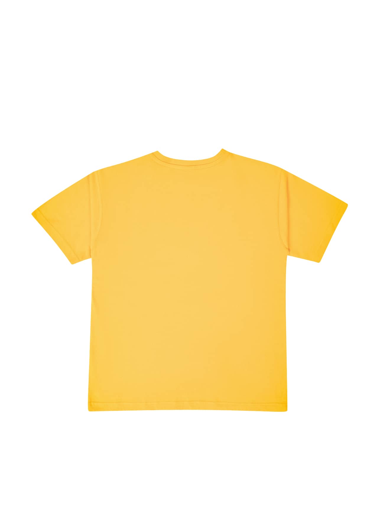 Men's / Unisex Modern Fit Tee