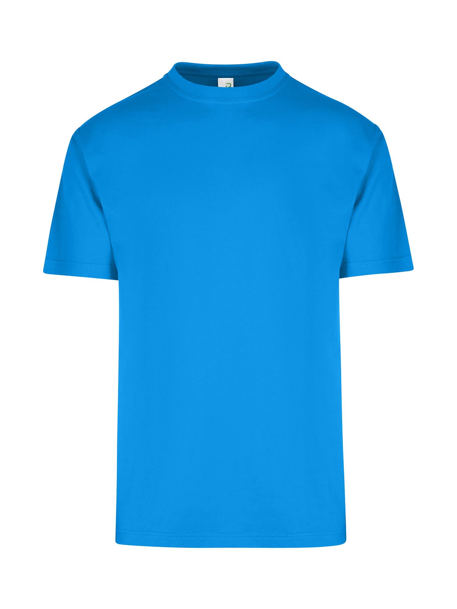 Men's / Unisex Regular T-shirt