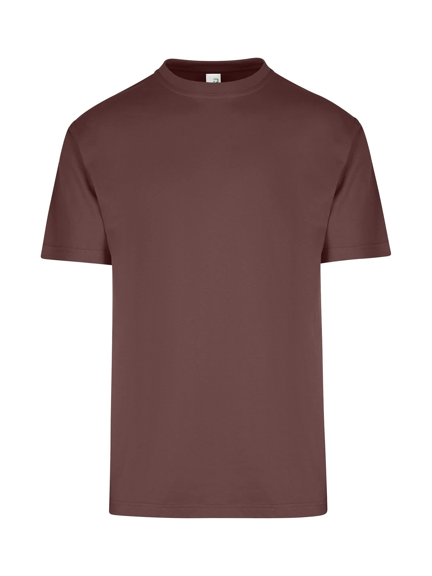 Men's / Unisex Regular T-shirt