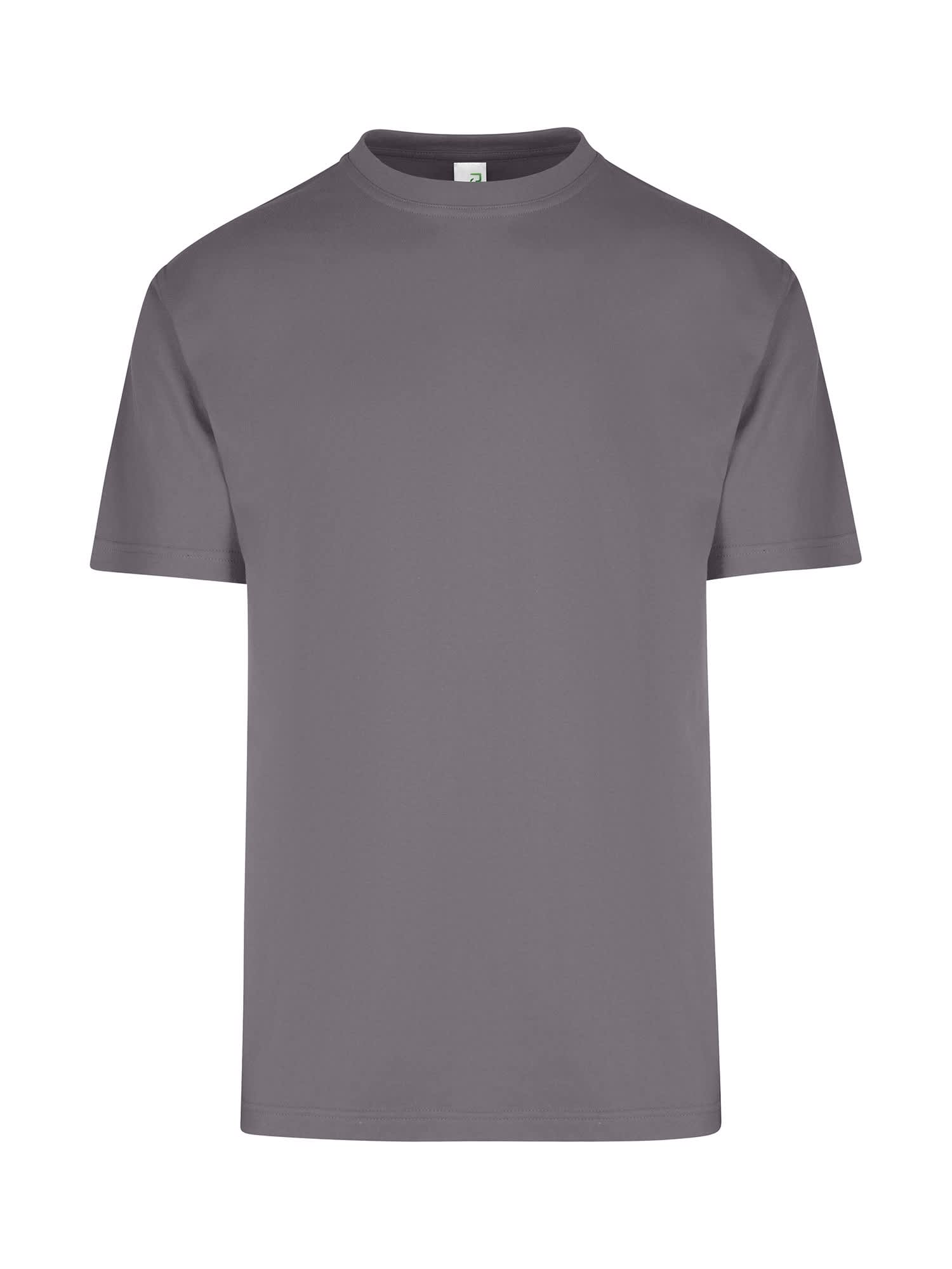 Men's / Unisex Regular T-shirt