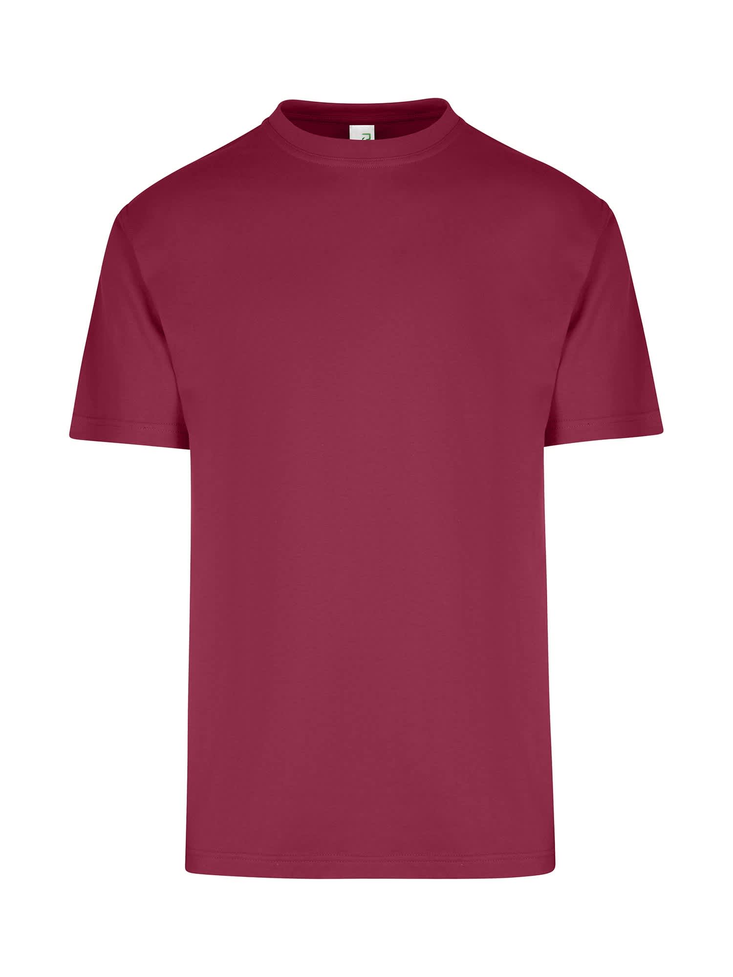 Men's / Unisex Regular T-shirt
