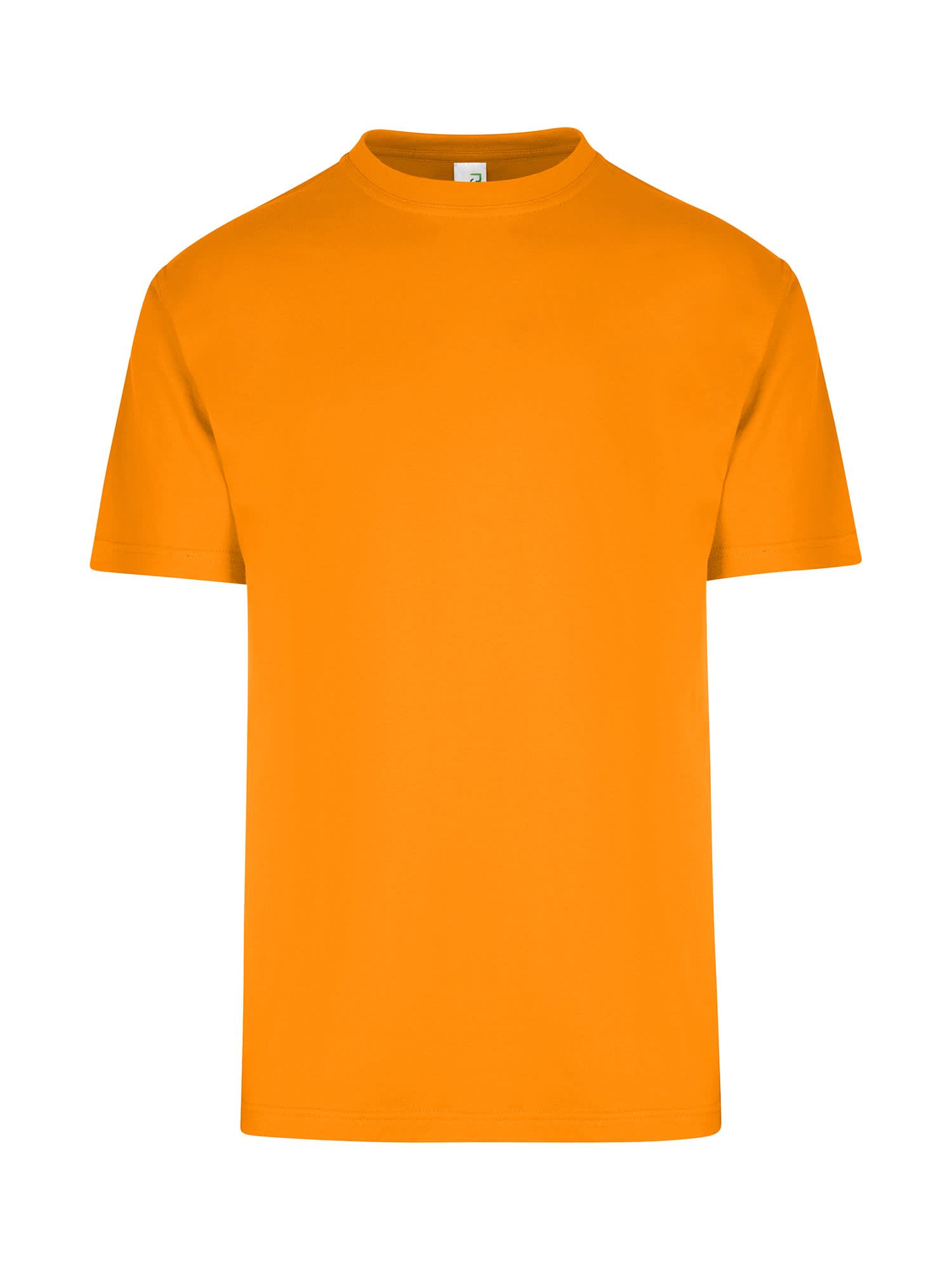 Men's / Unisex Regular T-shirt