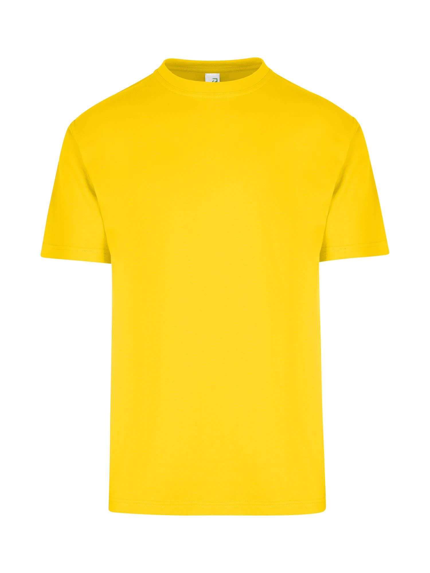 Men's / Unisex Regular T-shirt