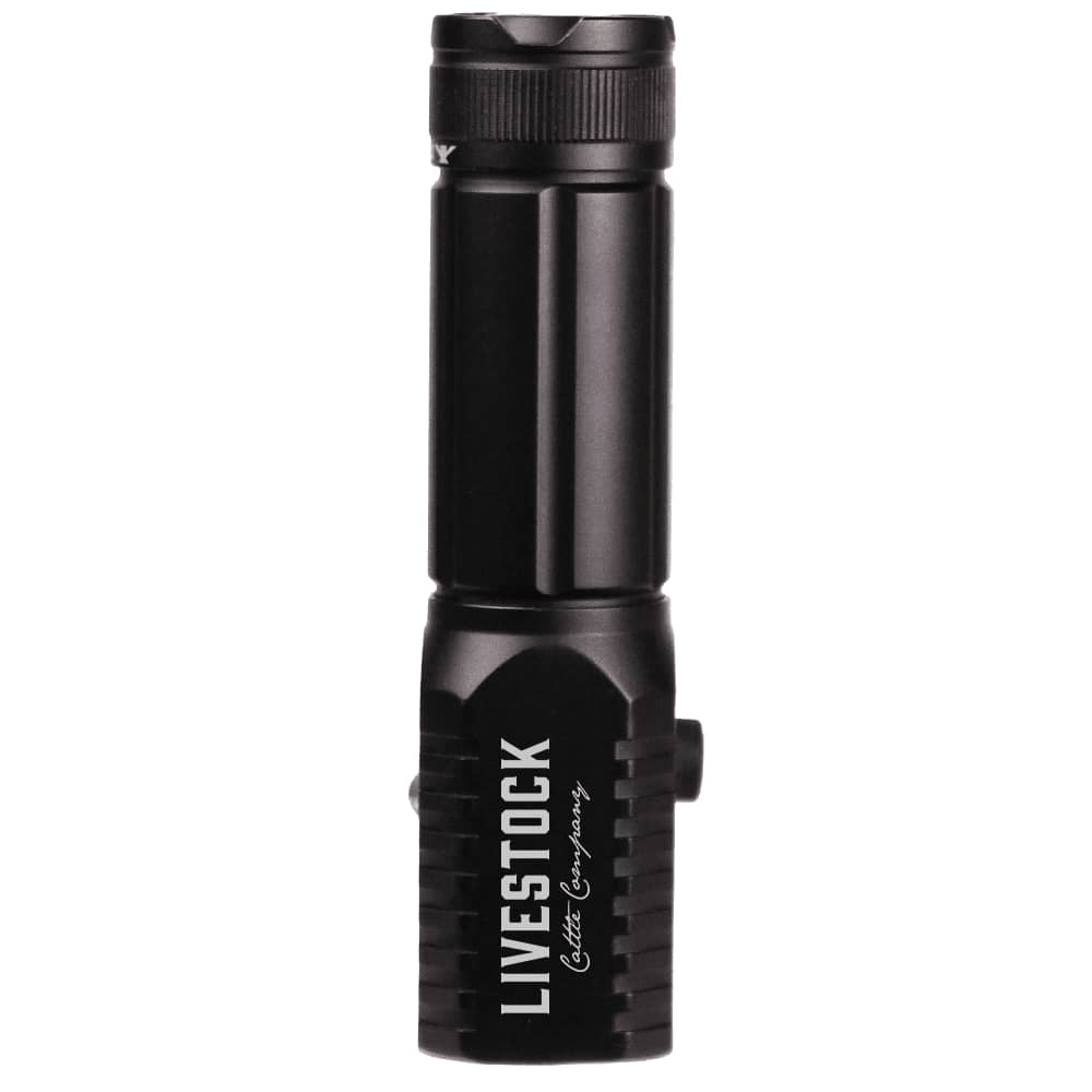 Trekk 3W LED Torch