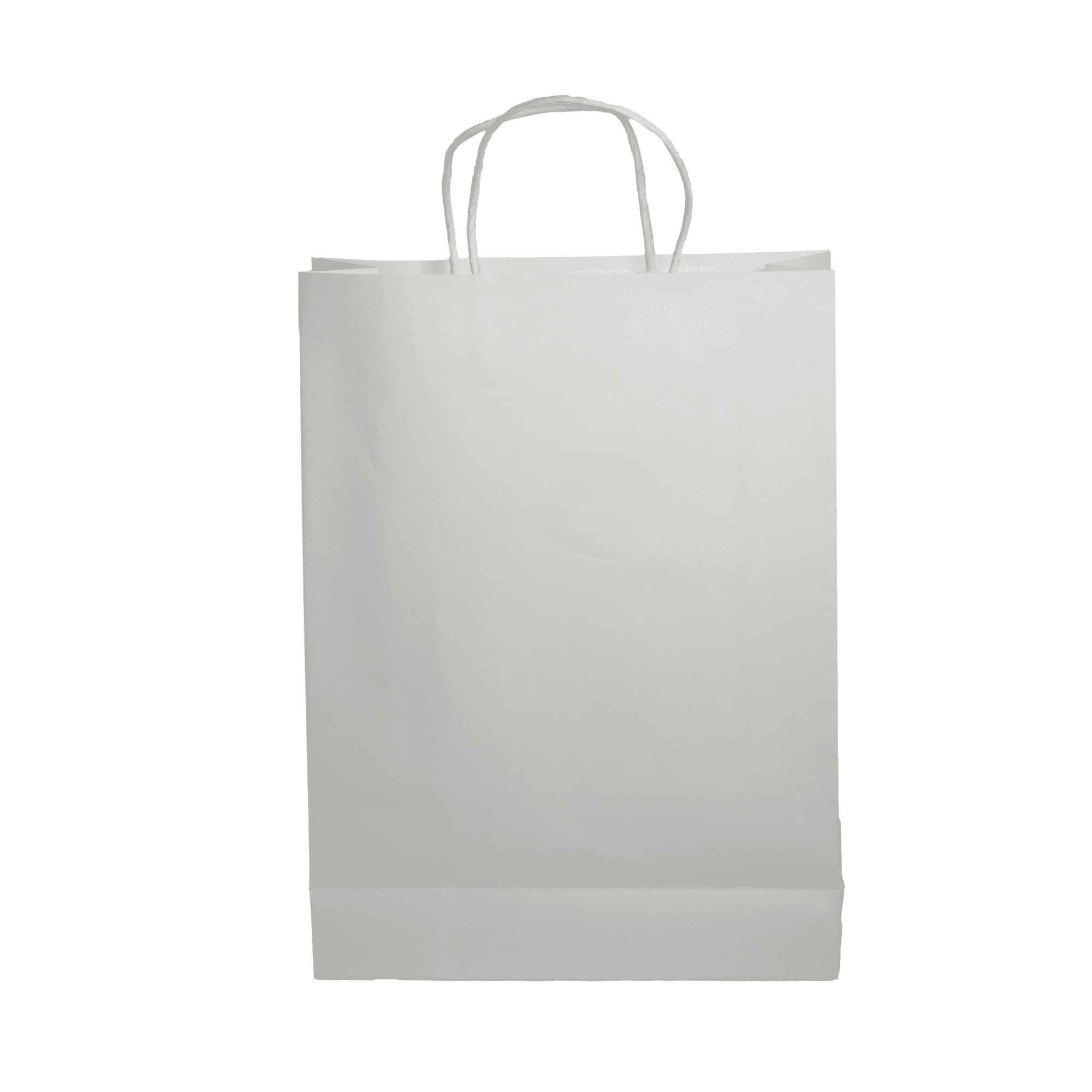 Paper Show Bag