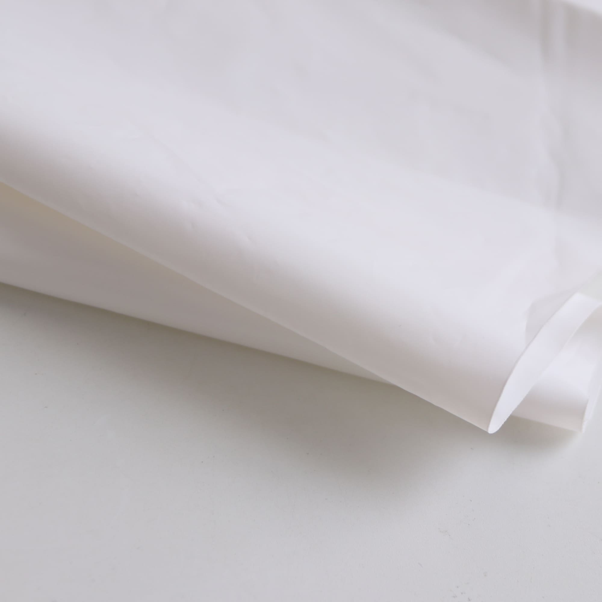 Biodegradable Mailer Bag (Medium)