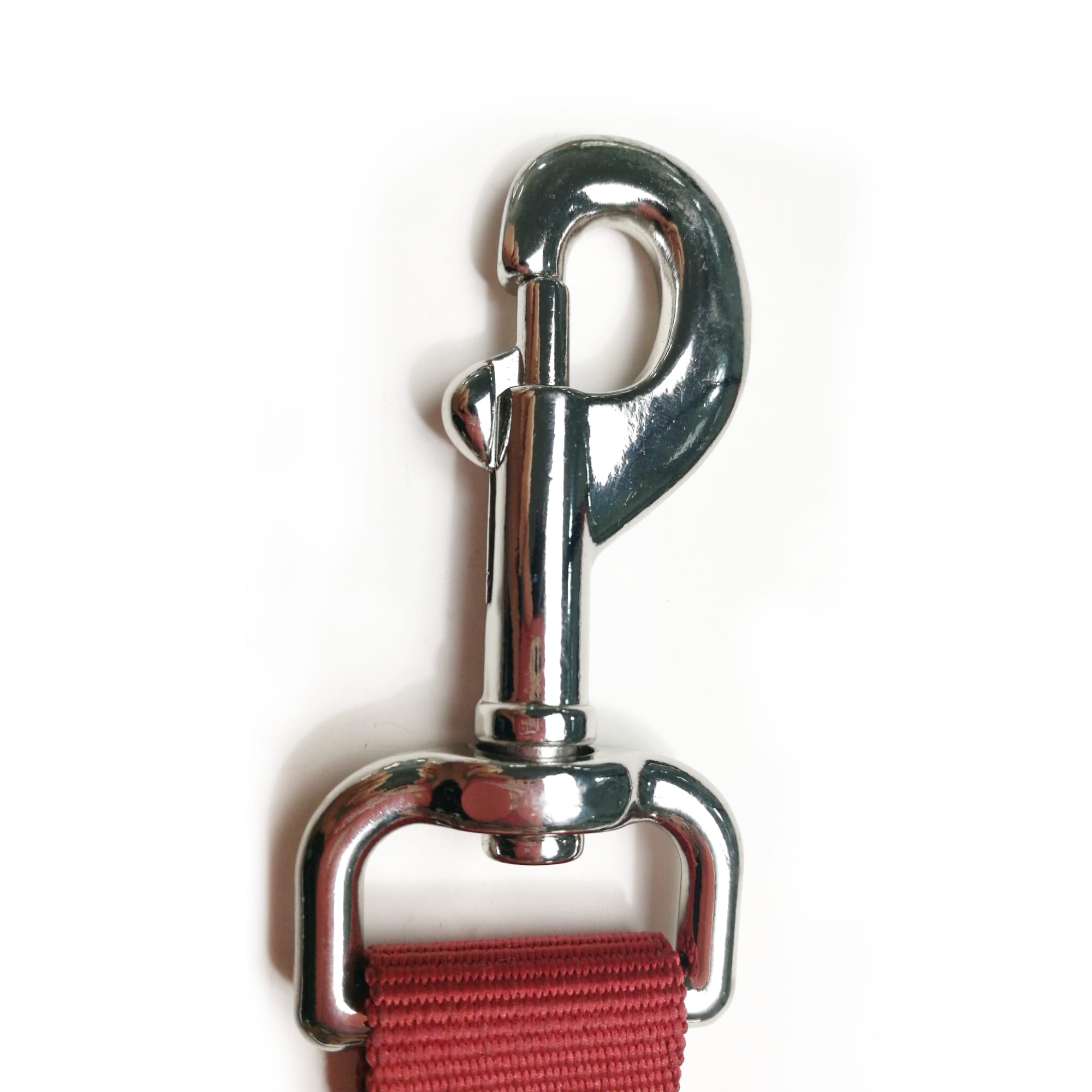 Polyester Dog Leash
