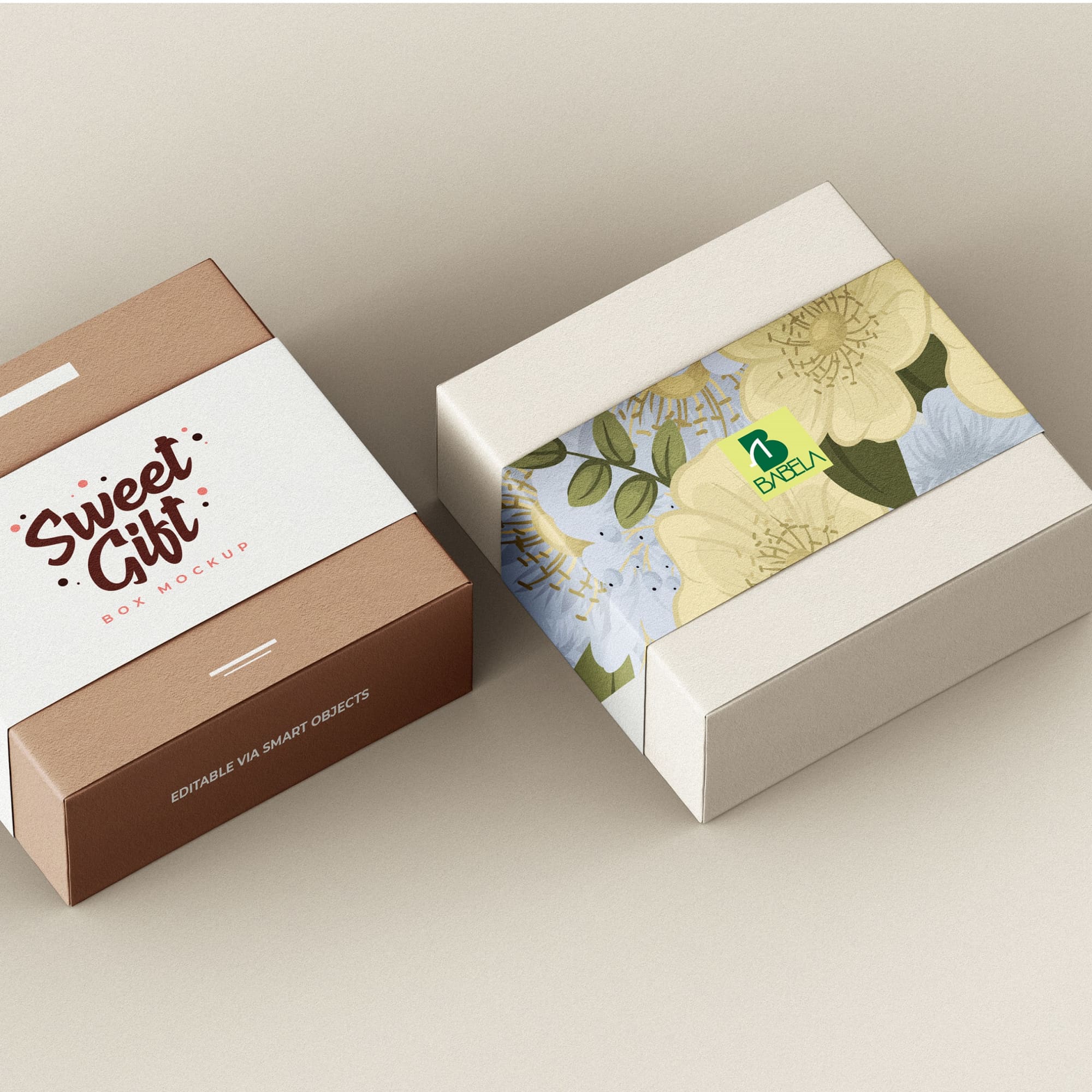Custom Packaging Sleeves