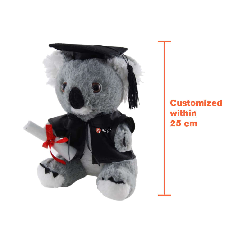 Custom Graduation Plush Toy