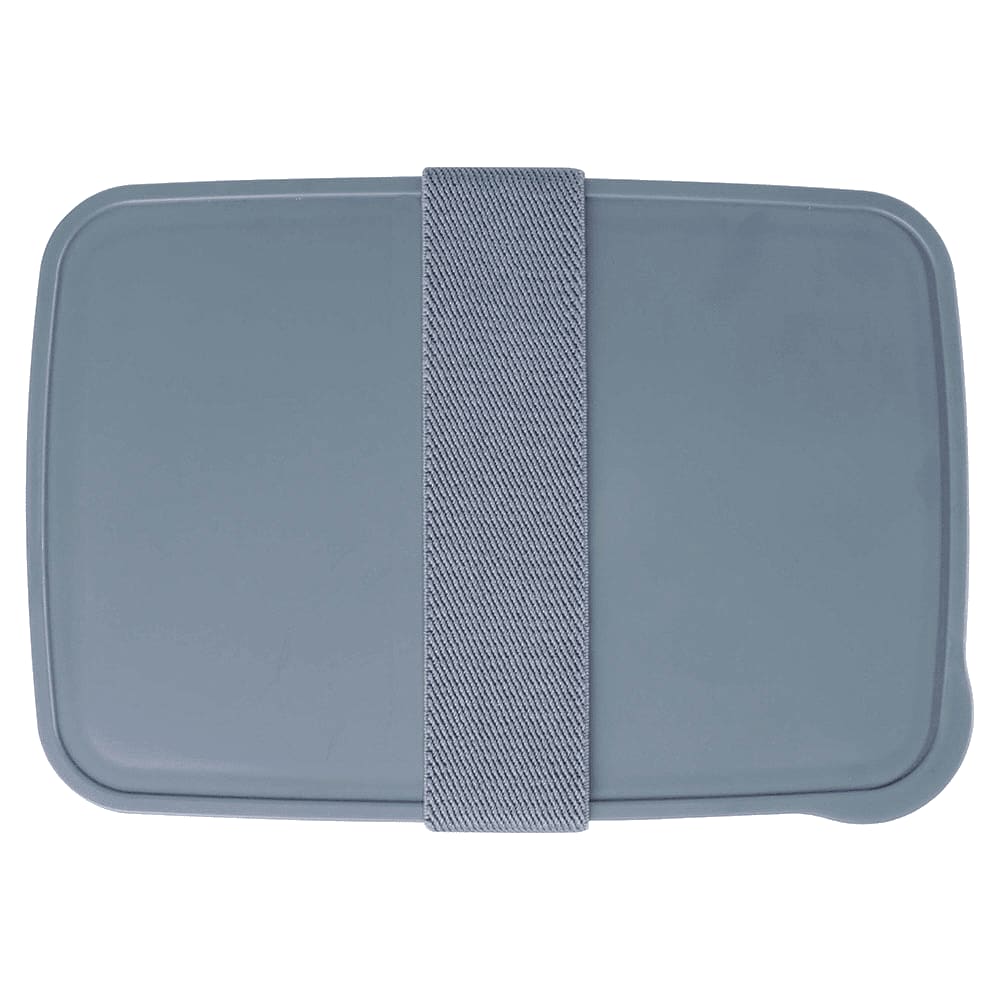 Seasons Dovi 800 ml Lunch Box