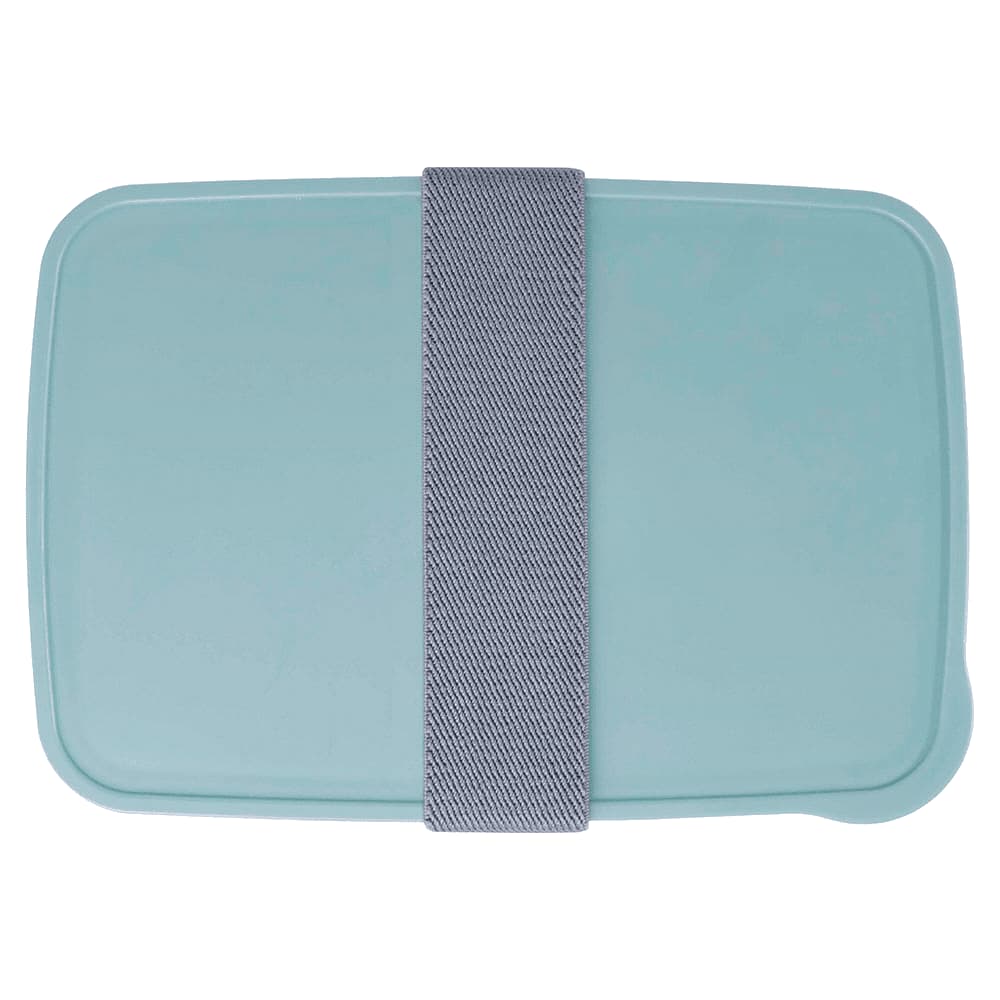 Seasons Dovi 800 ml Lunch Box