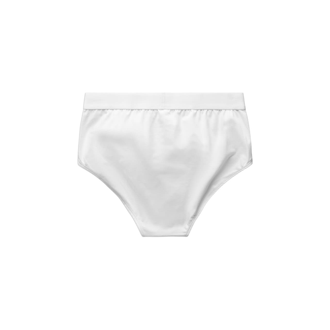 Briefs