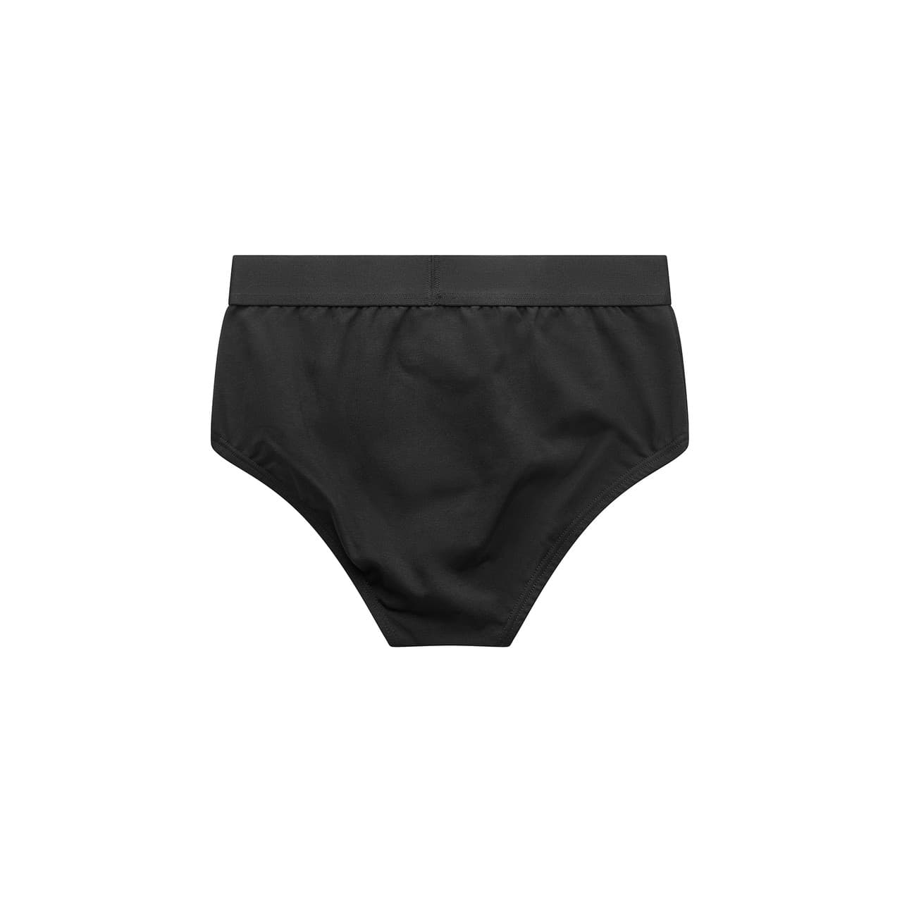 Briefs