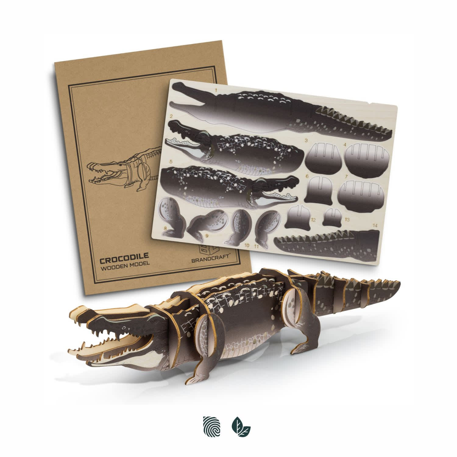 BRANDCRAFT Crocodile Wooden Model