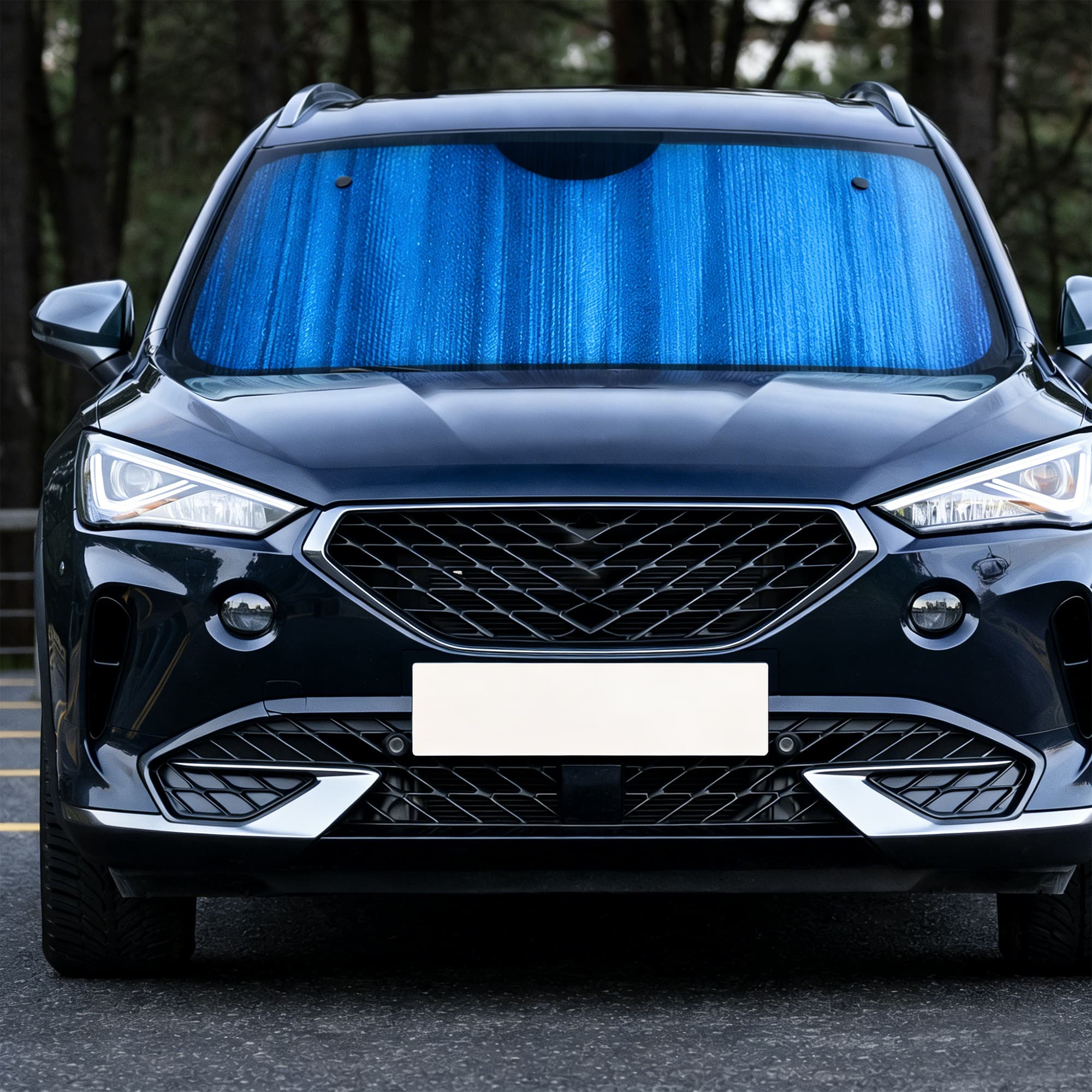 Full Colour Printed Bubble Aluminum Car Sun Shade