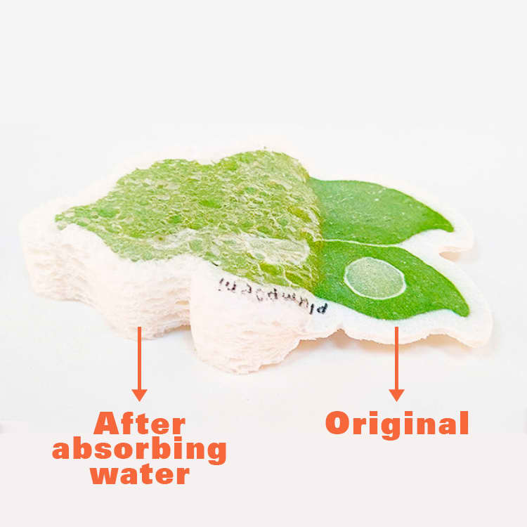 Expandable Dishwashing Sponge