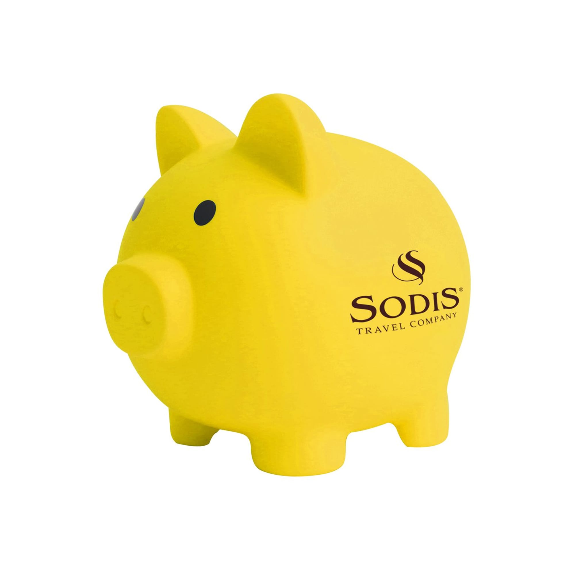 PVC Piggy Coin Bank