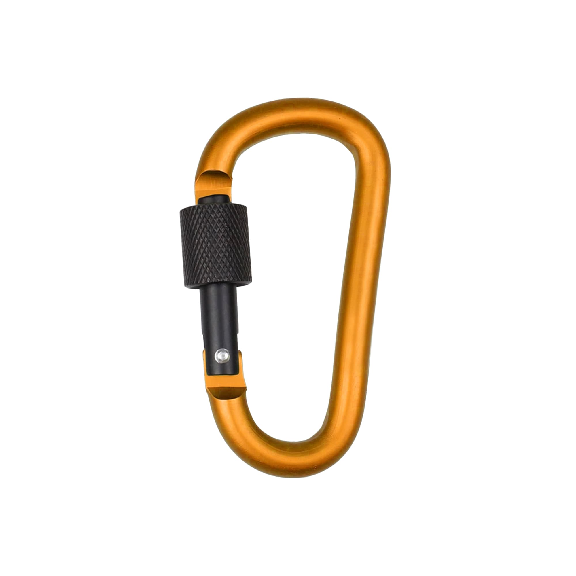 D-Shaped Screw Lock Keychain