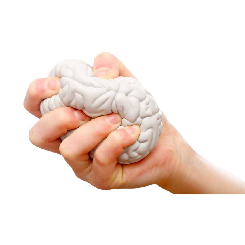 Large Brain Shape Stress Reliever