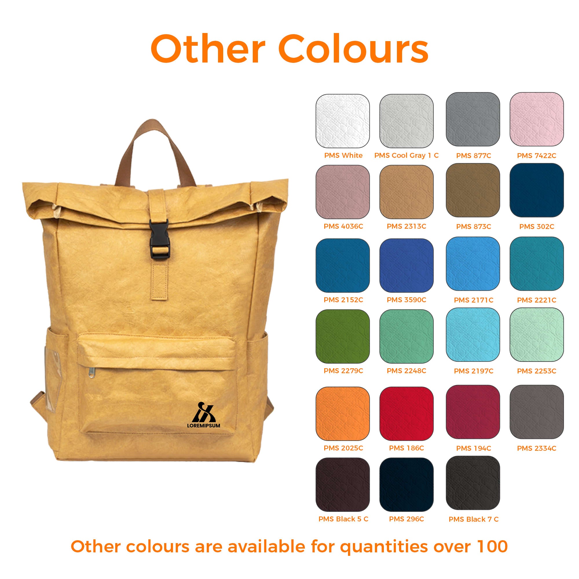 Tyvek Roll Top Backpack