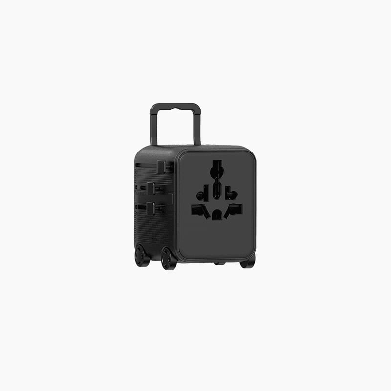 Luggie Travel Plug