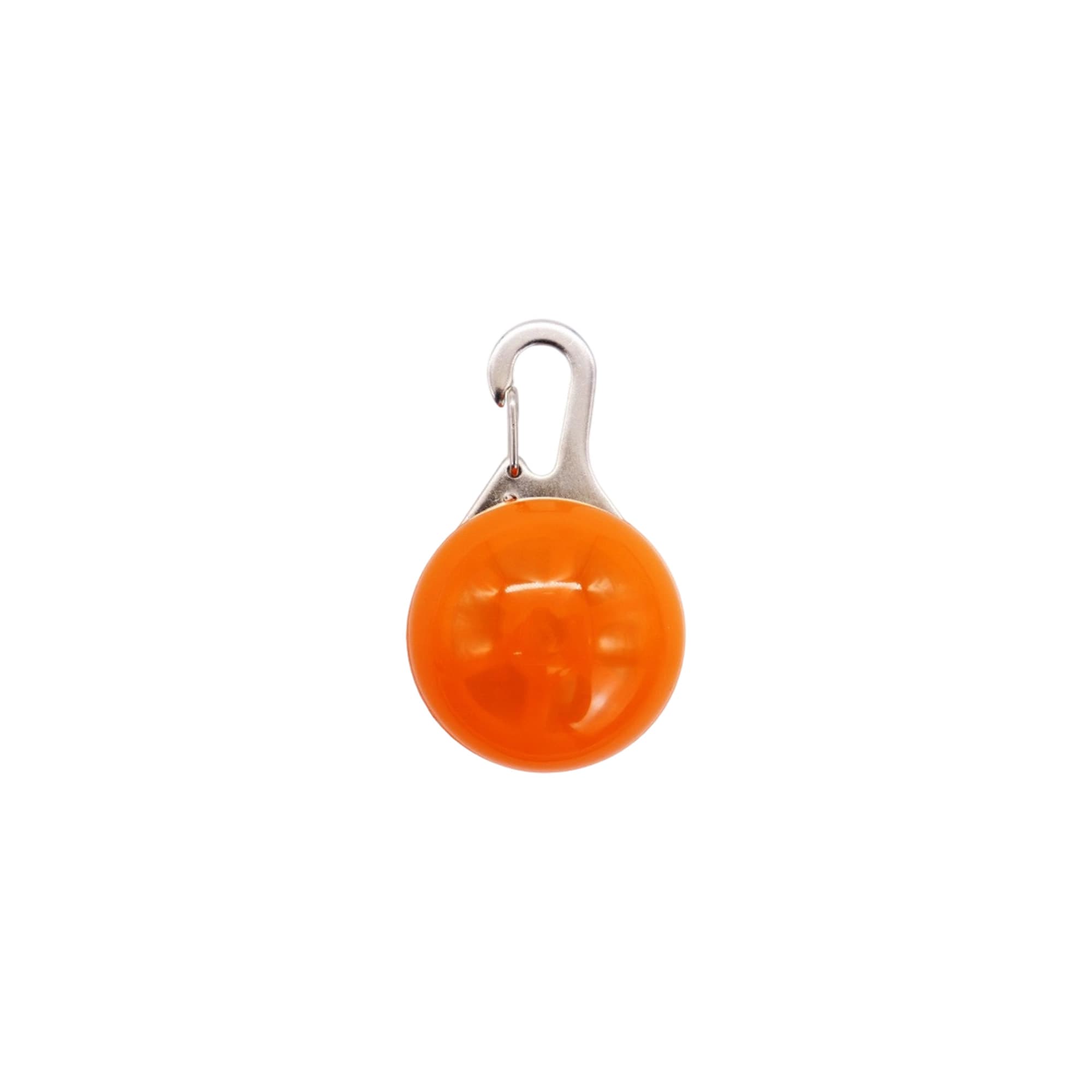 Dog Walking LED Light