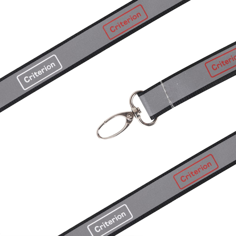 Safety Lanyard