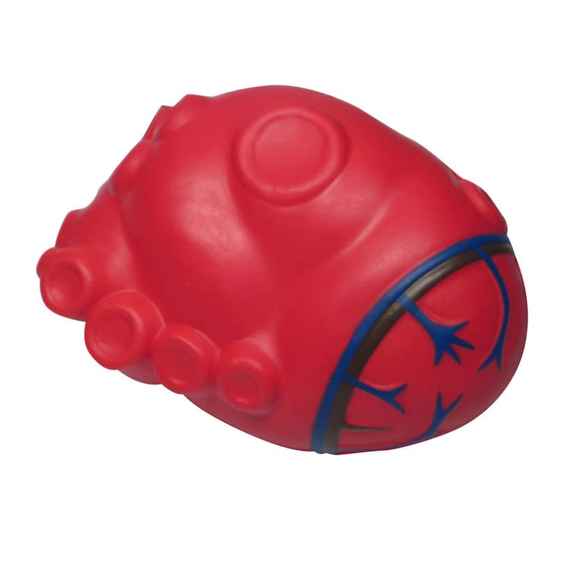 Cardiac Shape Stress Reliever