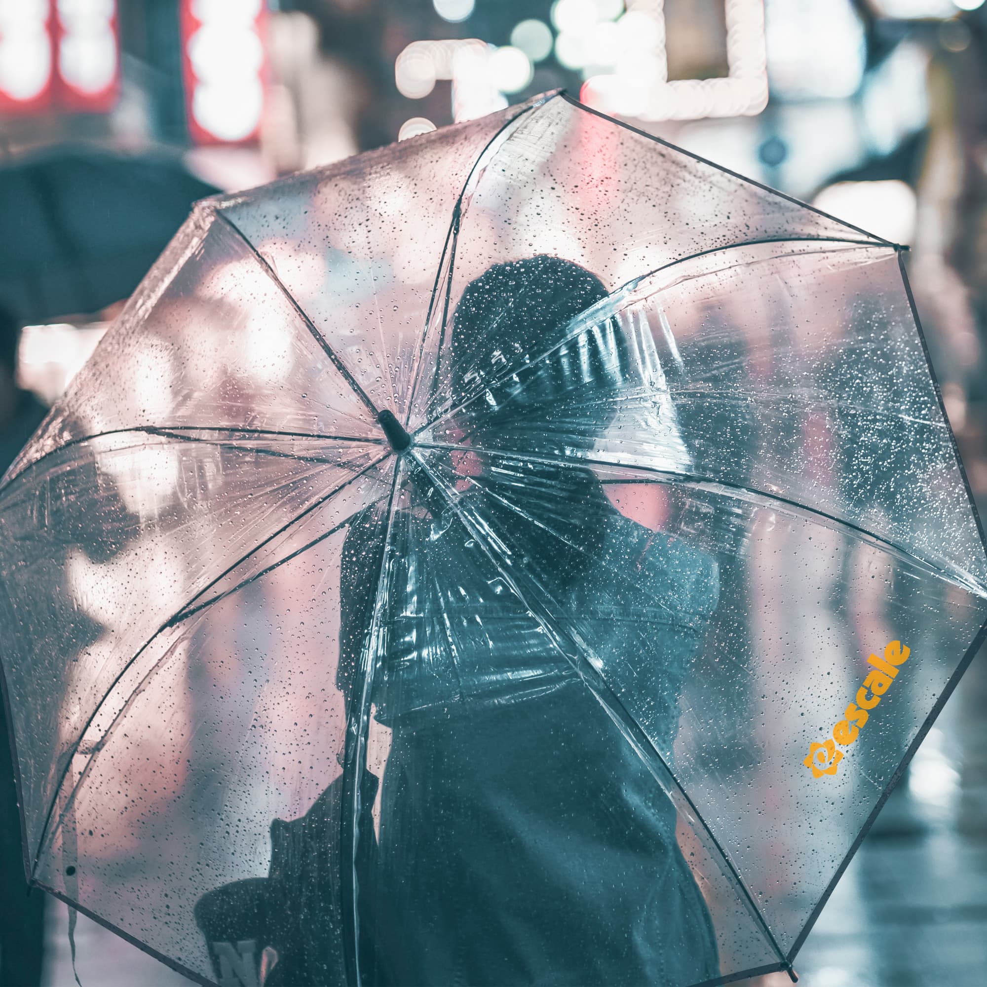 Transparent Eight-Panel Umbrella