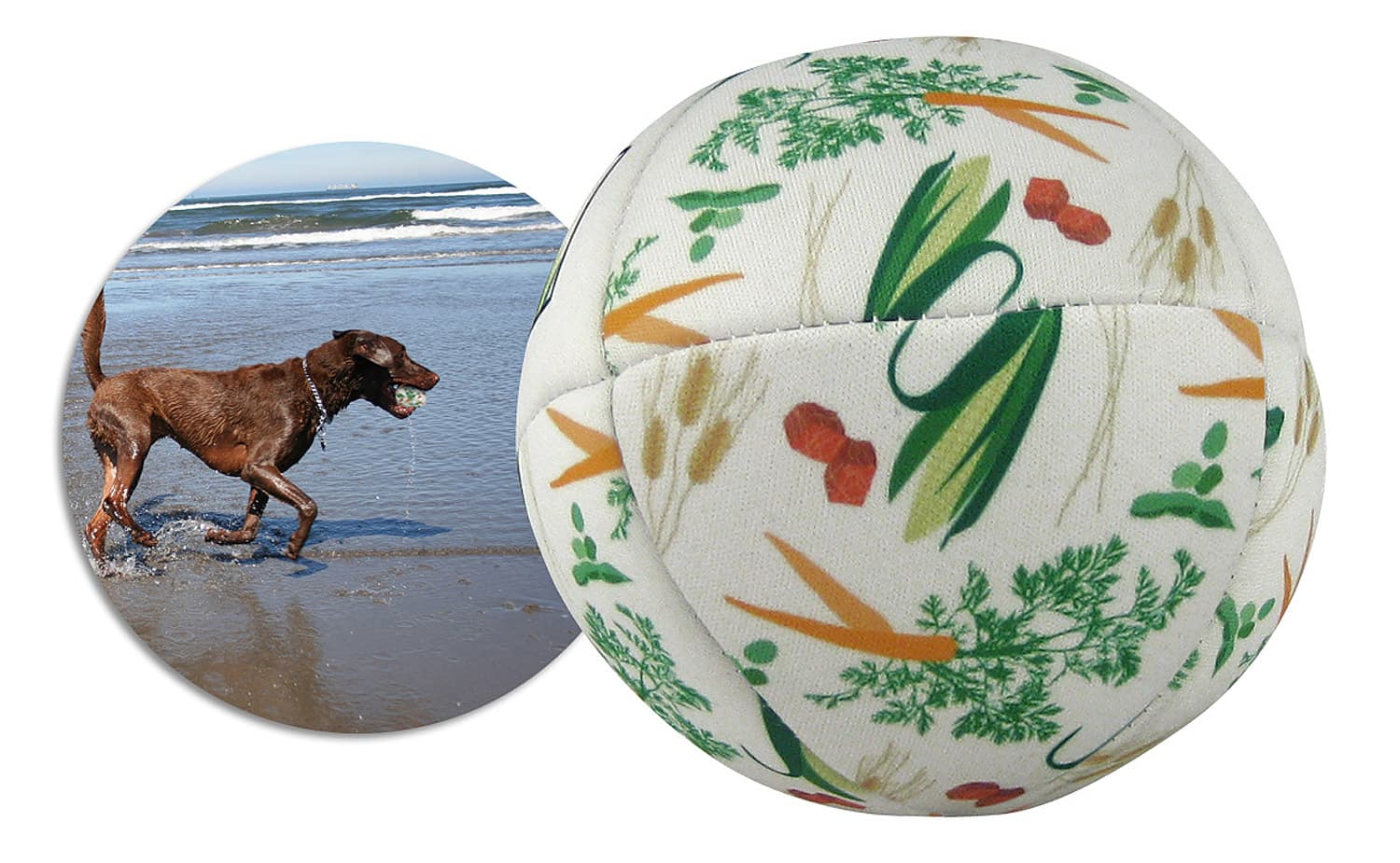 Pet Ball