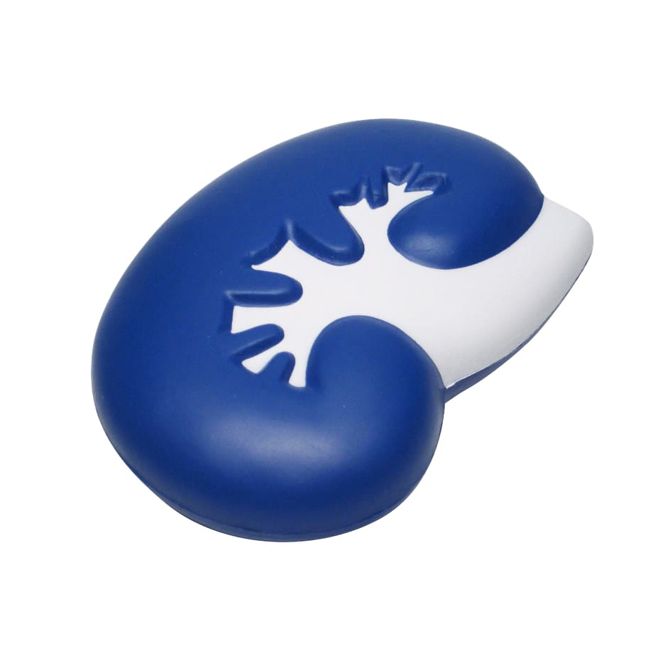 Large Kidney Shape Stress Reliever