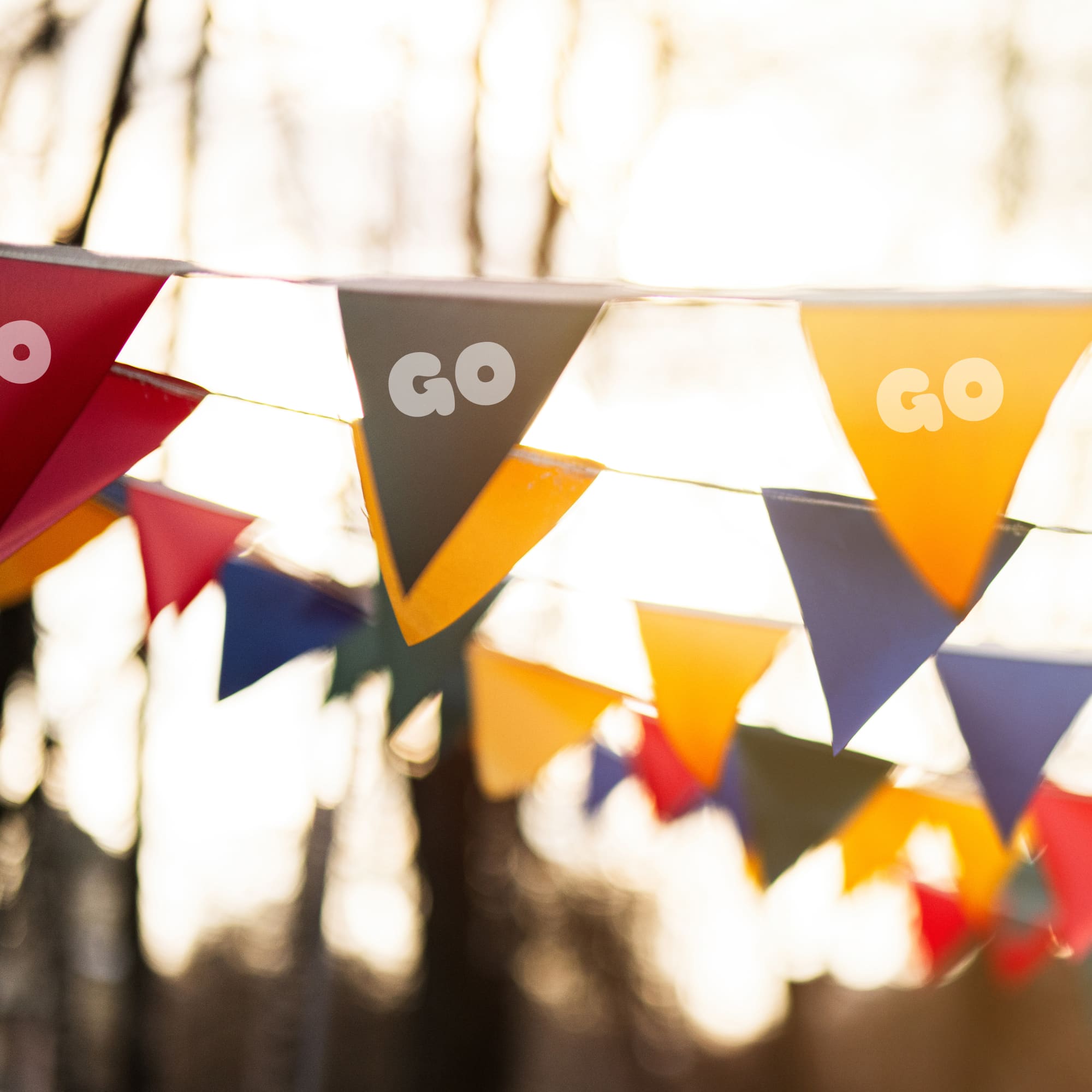 Custom Paper Pennant String Flags