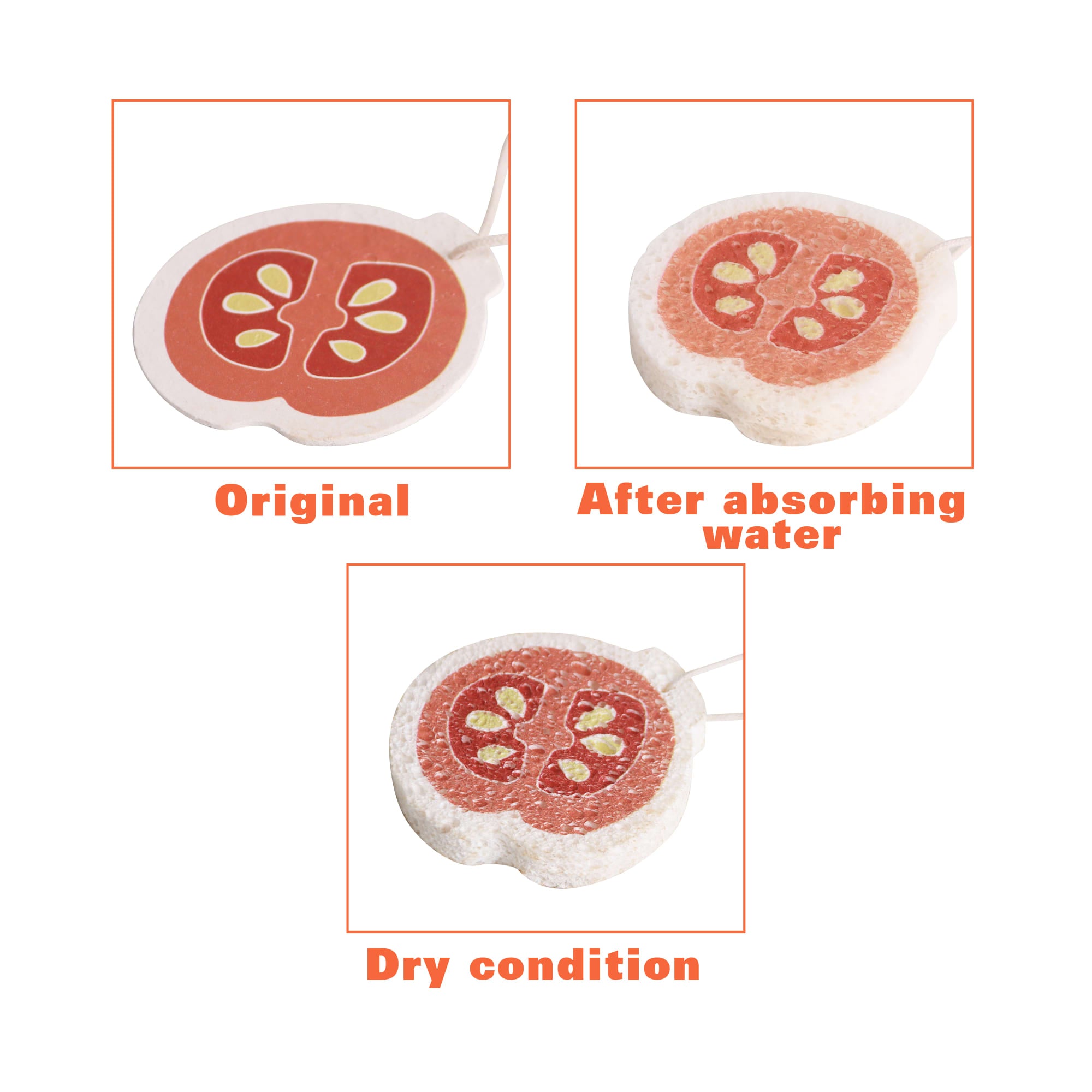 Expandable Dishwashing Sponge