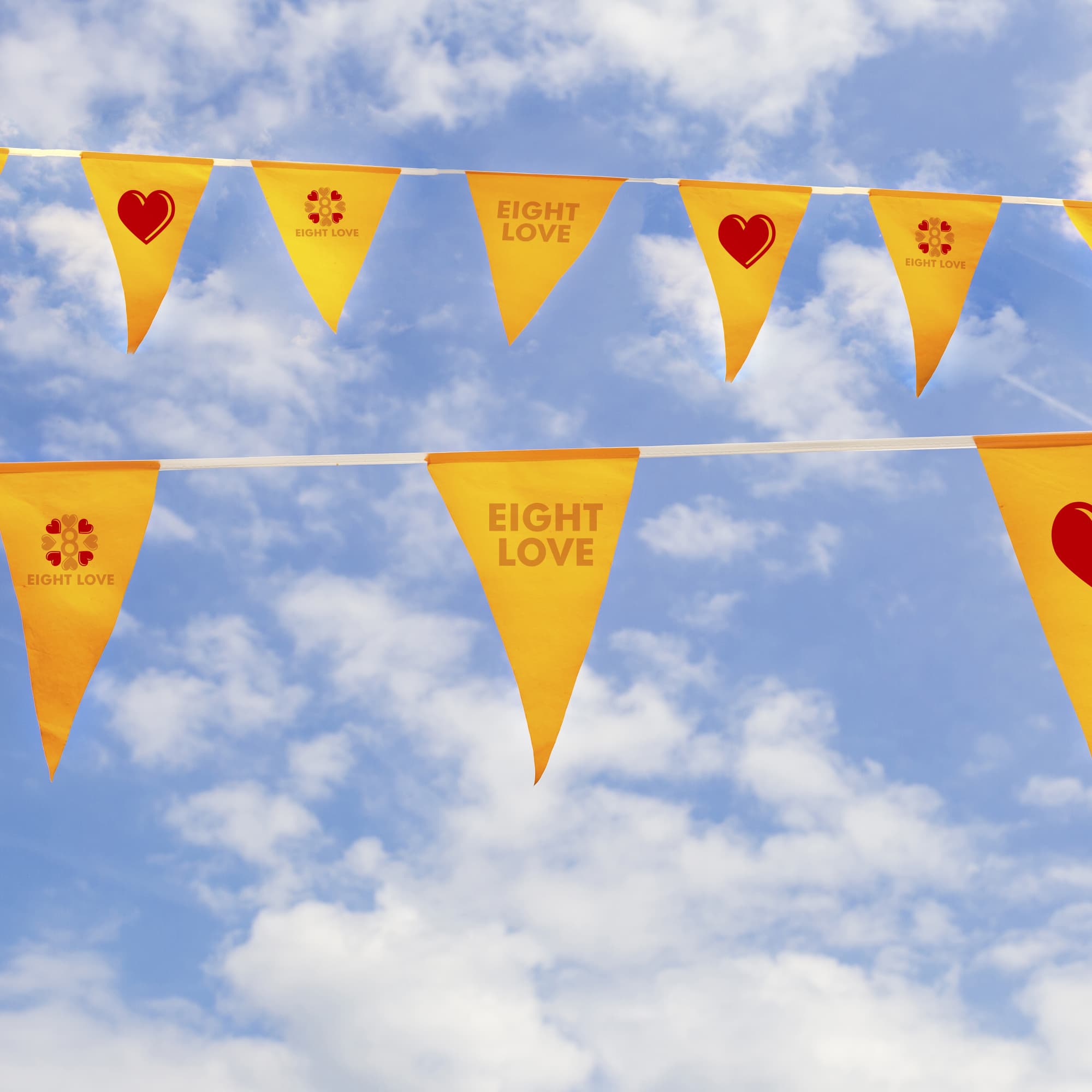 Custom PVC Pennant String Flags