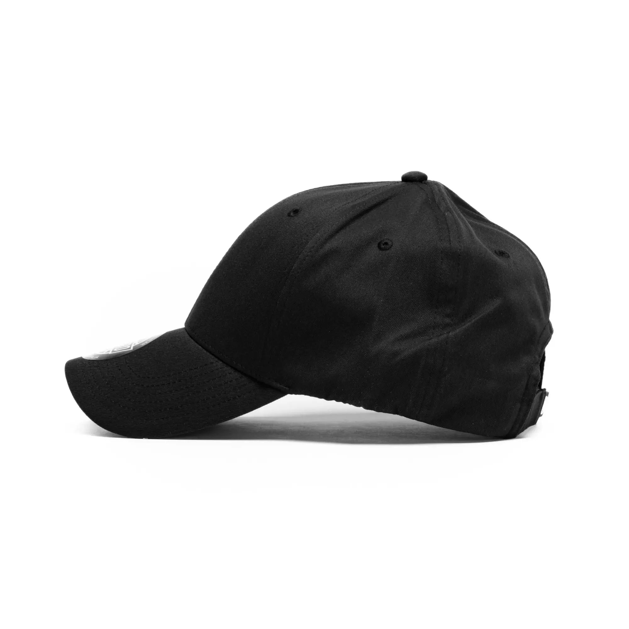Lake 6 Panel Polyester Stretch Cap