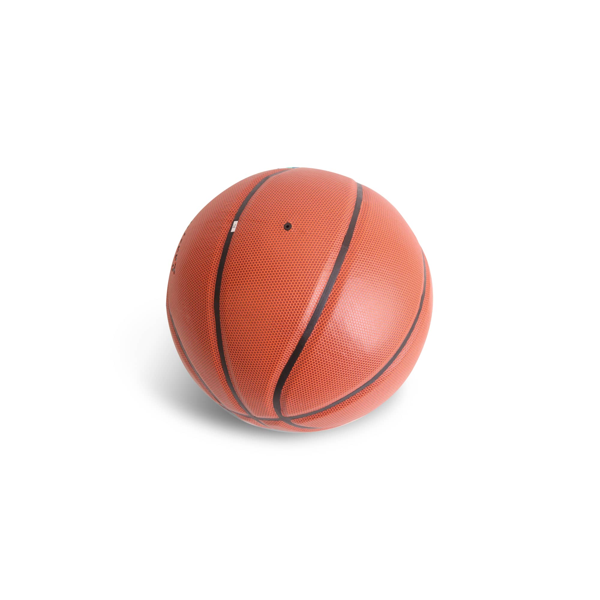 PU Basketball