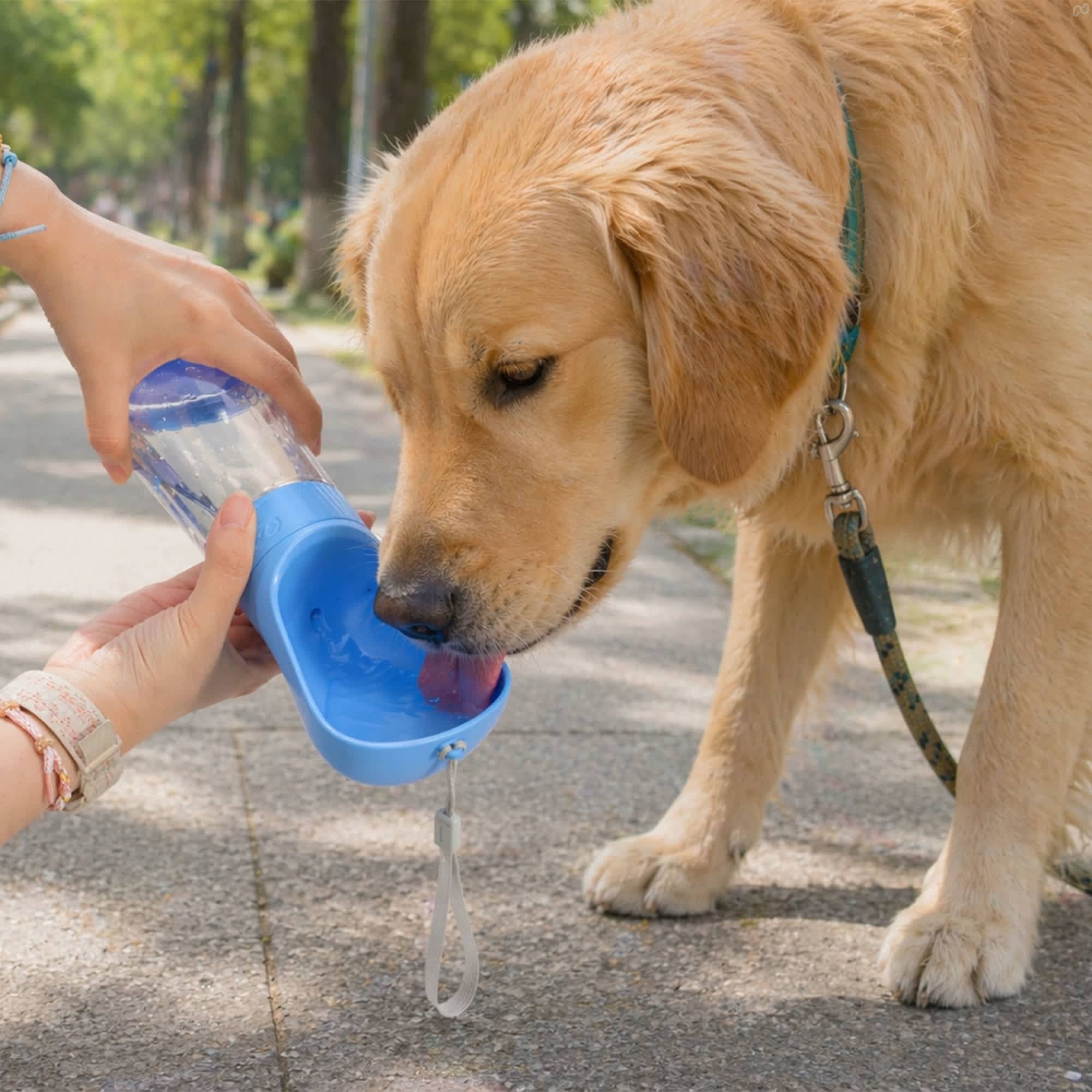 Pet Water Bottle with Food Container