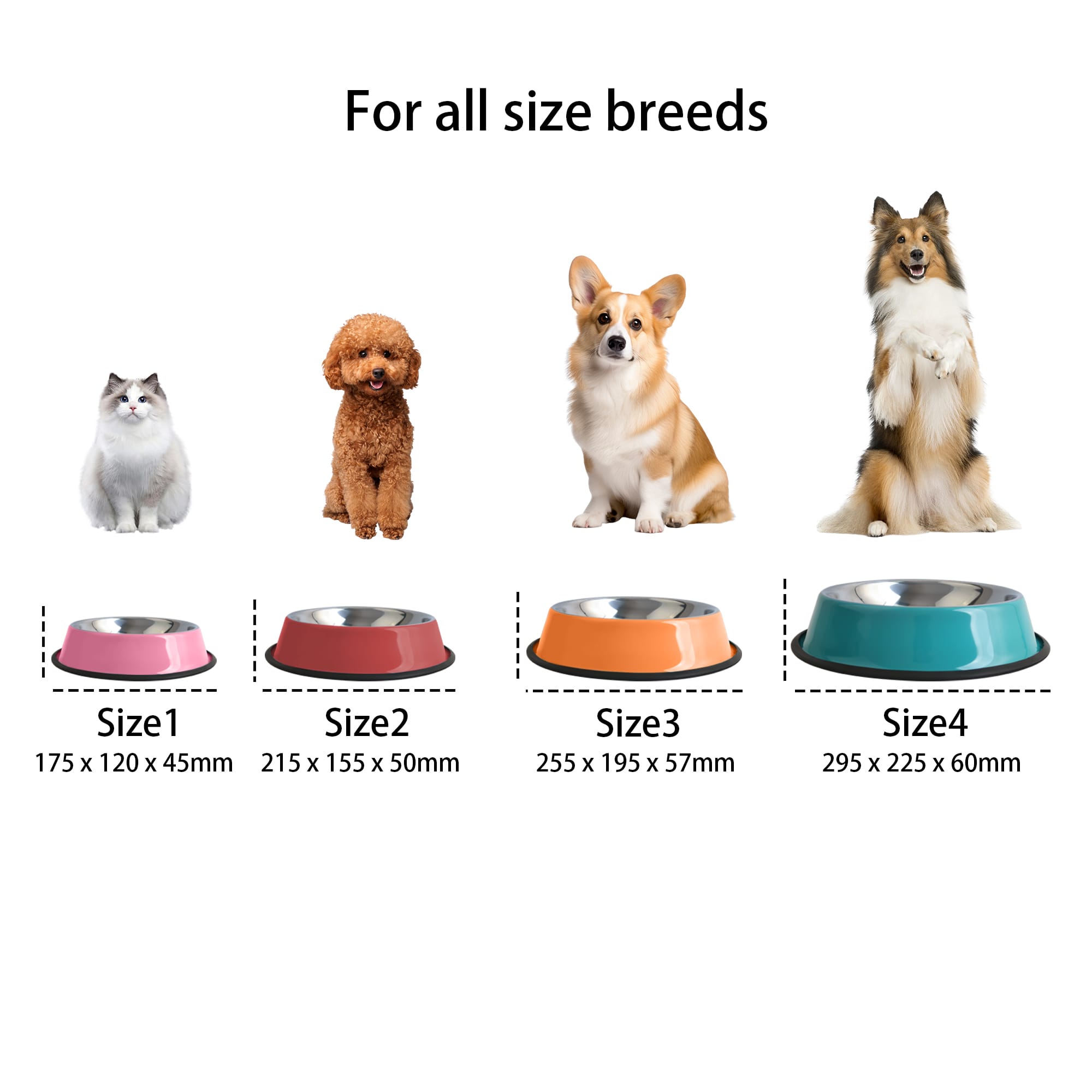 Pet Feeding Bowl