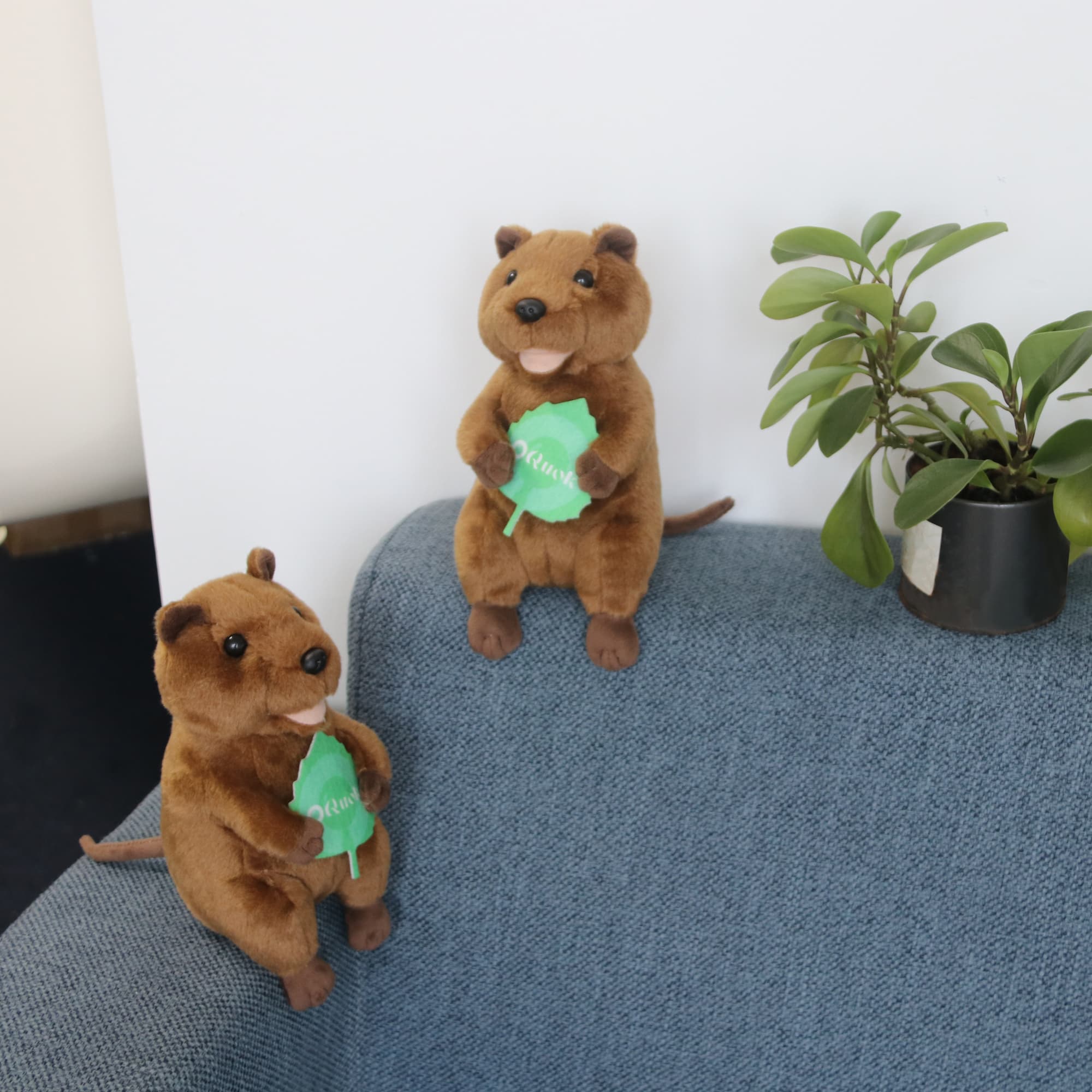 Custom Quokka Plush Toy