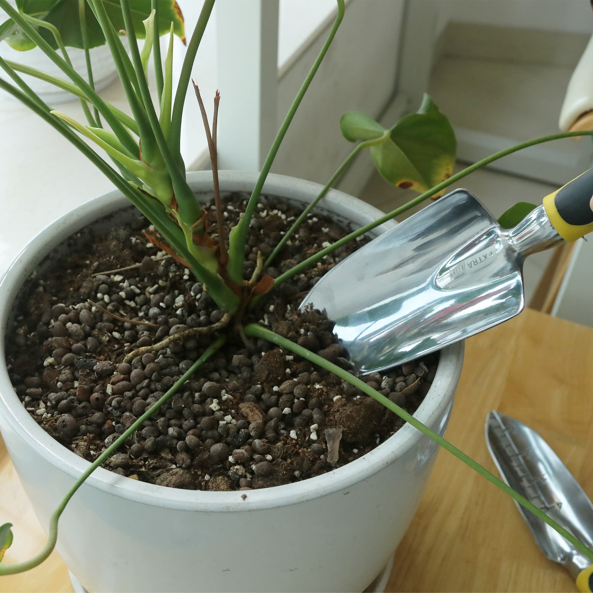 Garden Hand Tool Set