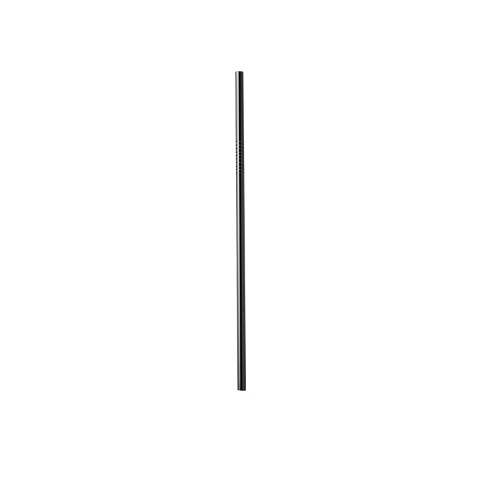 Stainless Steel Straw