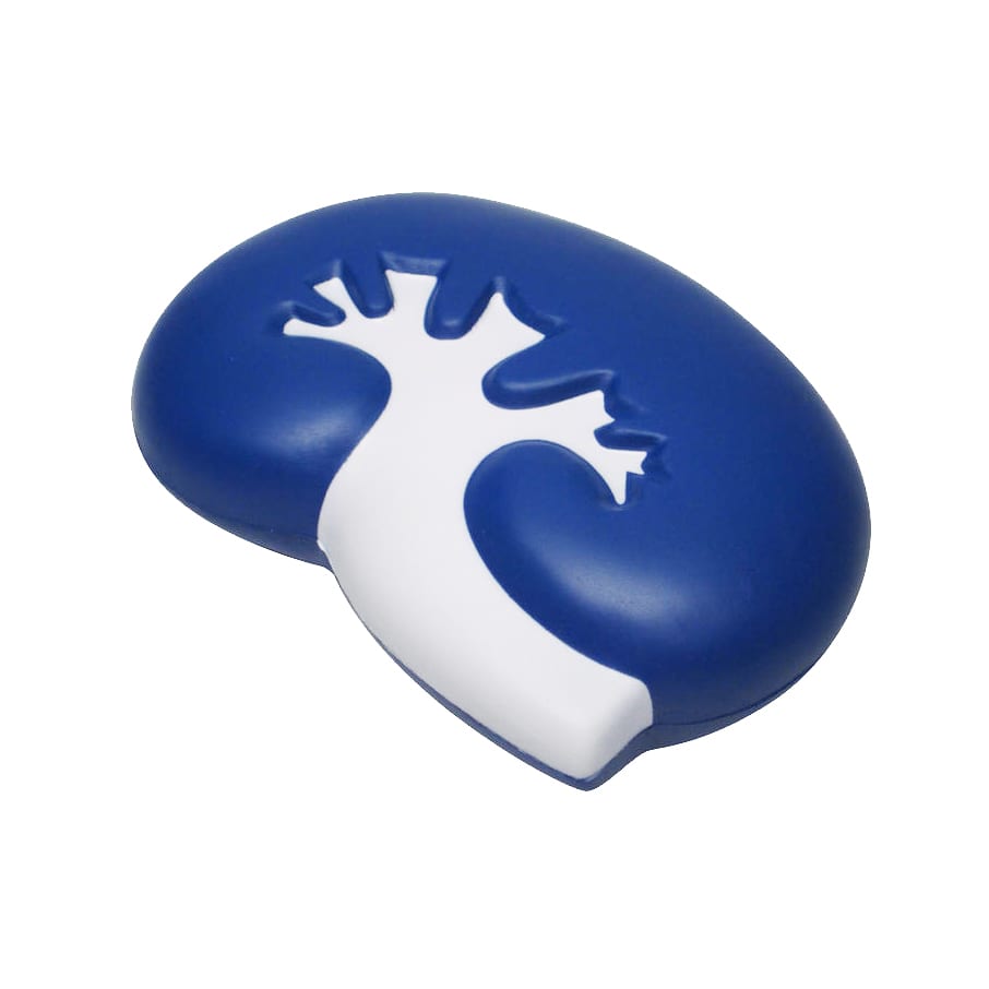 Large Kidney Shape Stress Reliever